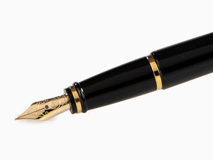 Aurora Ipsilon Quadra Gold Fountain Pen, Resin, Black, Gold, B11-DQN