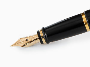 Aurora Ipsilon Fountain Pen, Resin, Black, B12N