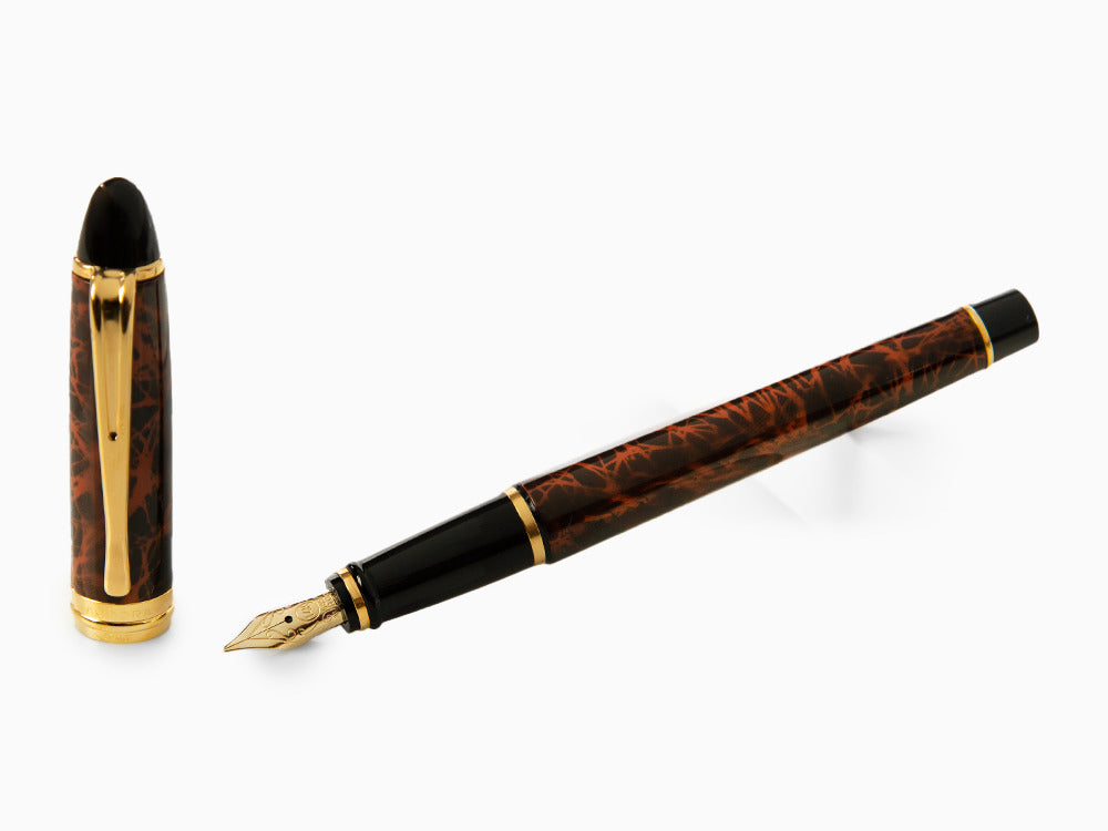 Aurora Ipsilon Fountain Pen, Brown marbled tortoise, Gold trim, B13T