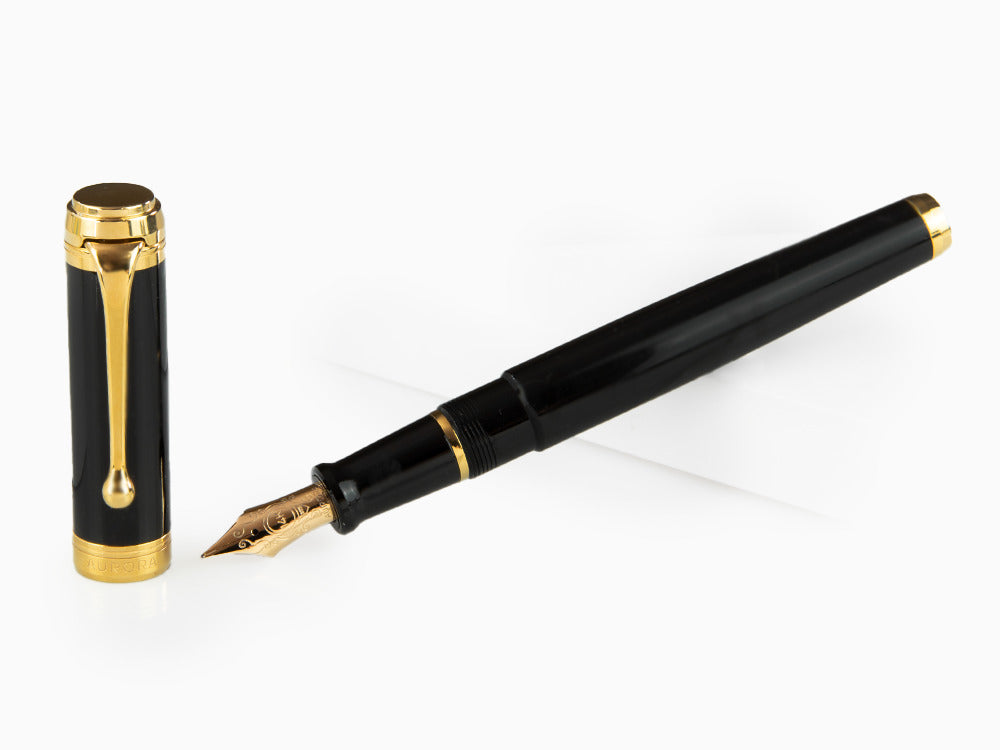 Aurora Talentum Big Fountain Pen, Resin, Gold trim, D12N