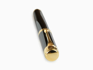 Aurora Talentum Big Fountain Pen, Resin, Gold trim, D12N