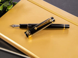 Pilot Custom 845 Fountain Pen, Ebonite, Gold trim, Black, NC845N